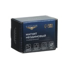 Магнит неодимовый Cartage с крючком для авто, d=42 мм, сцепление 31 кг - Фото 8