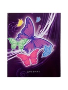 Дневник школьный для 1-11 классов, «Бабочки. Неон ?», твёрдая обложка 7БЦ, глянцевая ламинация, 40 листов - Фото 3