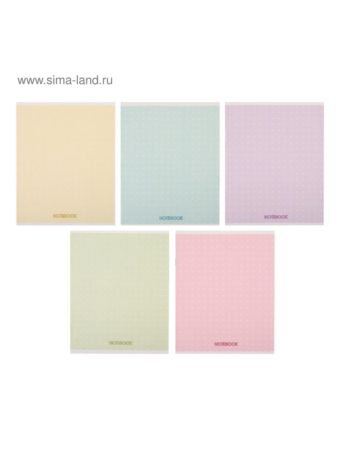 Тетрадь 48 листов в клетку, Calligrata «В точку», МИКС - Фото 1