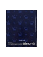 Дневник школьный для 1-11 классов, «Эмблема», твёрдая обложка 7БЦ, глянцевая ламинация, 40 листов - Фото 12