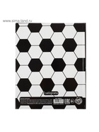 Дневник школьный для 1-11 классов, «Футбол. Эмблема», твёрдая обложка 7БЦ, глянцевая ламинация, 40 листов - Фото 13