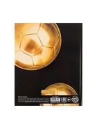 Дневник школьный для 1-11 классов, «Золотой мяч», твёрдая обложка 7БЦ, глянцевая ламинация, 40 листов - Фото 12