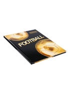 Дневник школьный для 1-11 классов, «Золотой мяч», твёрдая обложка 7БЦ, глянцевая ламинация, 40 листов - Фото 4