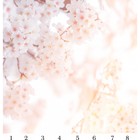 Панель потолочная PANDA Сакура панно 4112 (упаковка 8 шт.), 2х2 м - фото 294926580