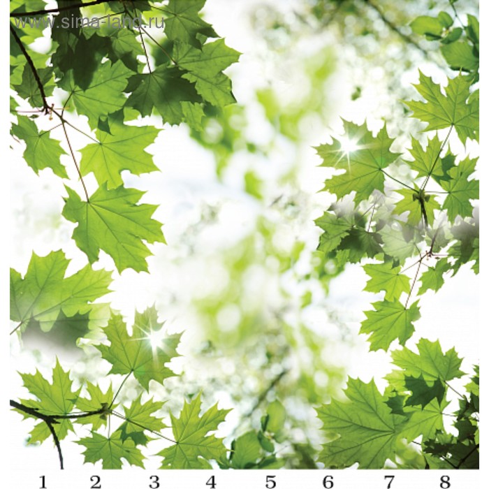 Панель потолочная PANDA Листья панно 4162 (упаковка 8 шт.), 2х2 м - Фото 1