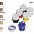 Краска акриловая, набор 6 цветов × 20 мл, Гамма «Хобби», морозостойкая, глянцевая - Фото 3