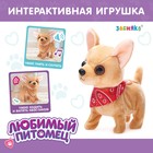 Интерактивная игрушка «Любимый питомец: Собачка» - Фото 1