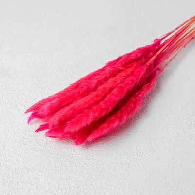 Сухоцвет «Камыш», набор 15 шт., цвет красный