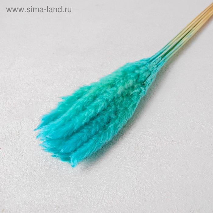 Сухоцвет «Камыш» набор 15 шт, цвет голубой - Фото 1