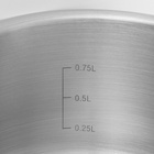 Кастрюля Катунь «Общепит», 1 л, d=14 см, капсульное дно, индукция, нержавеющая сталь - Фото 6