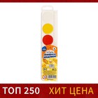 Акварель медовая Calligrata, 6 цветов, без кисти, пластик - Фото 1