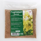 Семена Горчица белая, Мой Выбор, 0.5 кг - фото 53913660