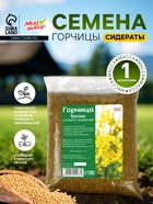 Семена Горчица белая, Мой Выбор, 1 кг - Фото 1