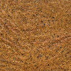 Семена Горчица белая, Мой Выбор, 1 кг - Фото 4