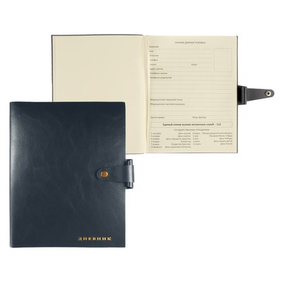 Дневник школьный для 1-11 классов Favorite, интегральная обложка из искусственной кожи на кнопке, тиснение фольгой, ляссе, 48 листов