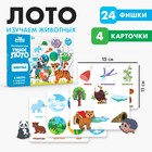 Лото «Животные», 24 фишки - Фото 1