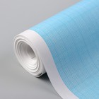 Масштабно-координатная бумага, 60 гр/м², 64 см, 10 м, цвет голубой - Фото 2