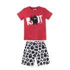 Пижама для мальчиков из футболки и шорт «Angry Birds», рост 98-104 см - Фото 1