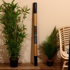 УЦЕНКА Сувенирный музыкальный инструмент «Диджериду», 120×6×6 см, МИКС - Фото 1