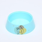 Миска "Мур-мяу" для кошек 300 мл, 14,5 x 14,5 x 4 см, голубая - Фото 1