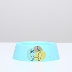 Миска "Мур-мяу" для кошек 300 мл, 14,5 x 14,5 x 4 см, голубая - Фото 3