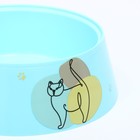 Миска "Мур-мяу" для кошек 300 мл, 14,5 x 14,5 x 4 см, голубая - Фото 4