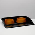 Миски с лотком "Феликс" 0,3 л, 41 x 30 x 6 см, черный лоток, коричневые миски - Фото 1