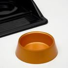 Миски с лотком "Феликс" 0,3 л, 41 x 30 x 6 см, черный лоток, коричневые миски - Фото 3