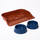 Миски с лотком "Феликс" 0,3 л, 41 x 30 x 6 см, коричневый лоток, синие миски - Фото 2