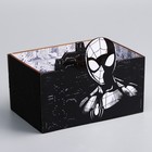 Органайзер для канцелярии "Супергерой", Человек-паук, 150 х 100 х 80 мм - фото 35179237