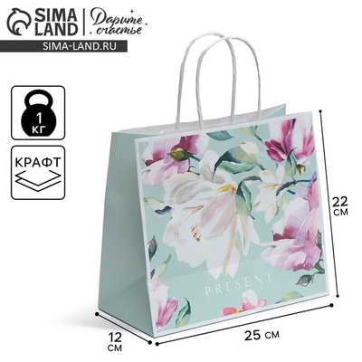 Пакет подарочный крафтовый, упаковка, «Present», 25×22×12 см