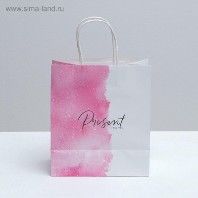 Пакет подарочный крафтовый, упаковка, «Present for you», 22×25×12 см