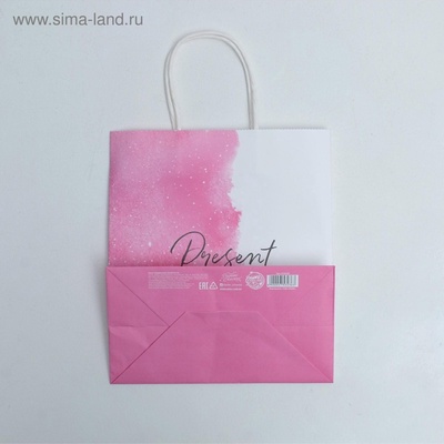 Пакет подарочный крафтовый, упаковка, «Present for you», 22×25×12 см