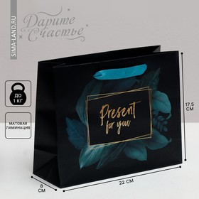 Пакет подарочный ламинированный горизонтальный, упаковка, «Present for you», 22 х 17.5 х 8 см