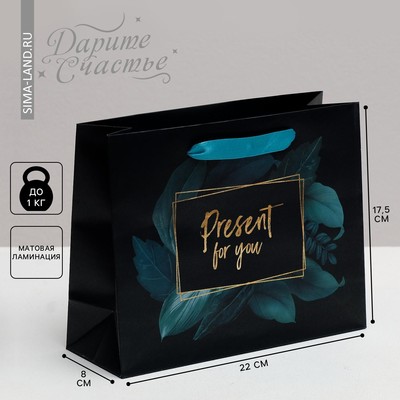 Пакет подарочный ламинированный, упаковка, «Present for you», 22 х 17.5 х 8 см