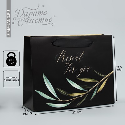 Пакет подарочный ламинированный, упаковка, «Present just for you», 22 х 17.5 х 8 см