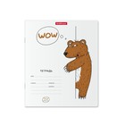 Тетрадь 24 листов в линейку, ErichKrause "Из-за угла", обложка мелованный картон, блок офсет 100% белизна, МИКС (1 вид в спайке) 4864579