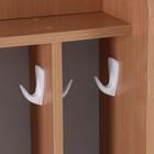 Полотенечница напольная, 700х200х1300, ЛДСП, цвет бук - фото 23330681