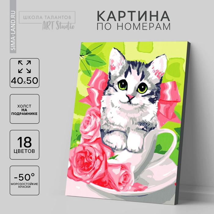 Картина по номерам на холсте с подрамником «Котёнок в чашке» 40 × 50 см