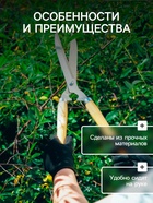 Перчатки садовые, х/б, с нейлоновой нитью, с ПВХ точками, размер 8, МИКС, «Точка», Greengo - Фото 3