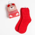 Носки махровые "Мишутка" р-р 36-39 - Фото 1