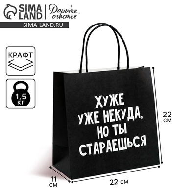 Пакет подарочный, упаковка, «Хуже уже некуда», 22×22×11 см