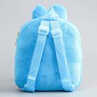 Рюкзак детский плюшевый на молнии, с карманом, 22 см × 6 см × 19 см «Крош», Смешарики - Фото 4