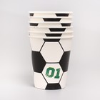 Набор бумажной посуды «С днём рождения, футболист»: 6 тарелок, 1 гирлянда, 6 стаканов, 6 колпаков - фото 36726856