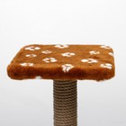 Когтеточка "Полка" с подставкой, 30 х 30 х 40 см, джут,  коричневая с лапками - Фото 4