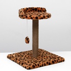 Когтеточка малая «Арена» с игрушкой, 40×40×55 см, джут, леопард - Фото 2