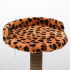 Когтеточка малая «Арена» с игрушкой, 40×40×55 см, джут, леопард - Фото 5