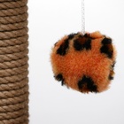 Когтеточка малая «Арена» с игрушкой, 40×40×55 см, джут, леопард - Фото 6