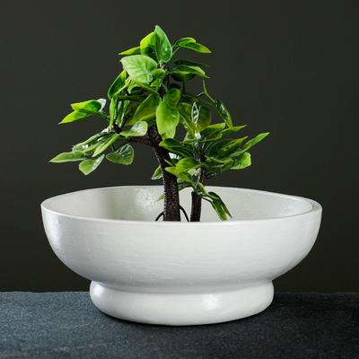 Горшок "Бонсай №2" для кактусов и суккулентов, белый, 1 л/19х7см