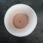 Горшок "Бонсай №2" для кактусов и суккулентов, белый, 1 л/19х7см - Фото 4